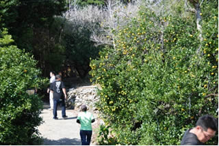 �V�[�N���[�T�[�̏Љ�