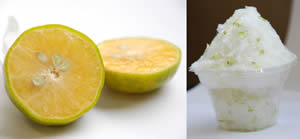 �V�[�N���[�T�[�̏Љ�