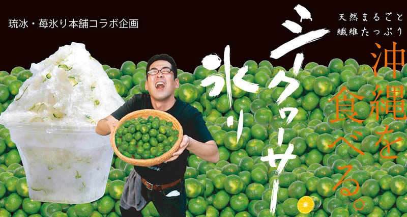 ���u�E䕕X��{�܃R���{���