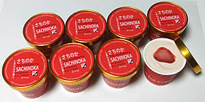 �����̂��@�v���~�A���A�C�X�N���[��